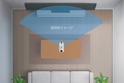 指向性